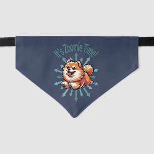 It’s Zoomie Time Pomeranian Pet Bandana Collar