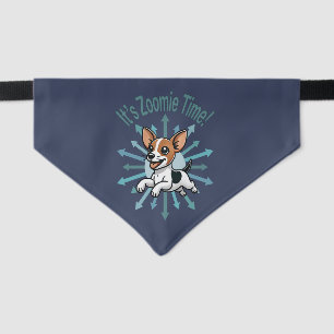 It’s Zoomie Time Rat Terrier Pet Bandana Collar