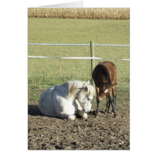 It Takes Patience Card