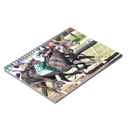 It Tiz Well - The Cotillion Winner Notebook