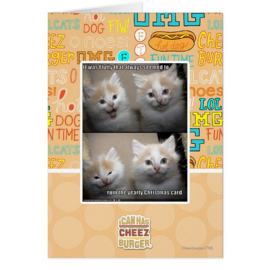 It was Fluffy (Front)