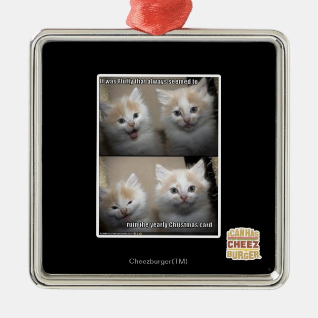 It was Fluffy Metal Ornament (Front)