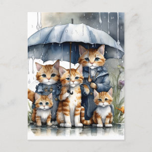 It was raining outside, so the mother cat called h postcard