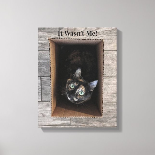 It Wasn't Me! Canvas Art (Front)