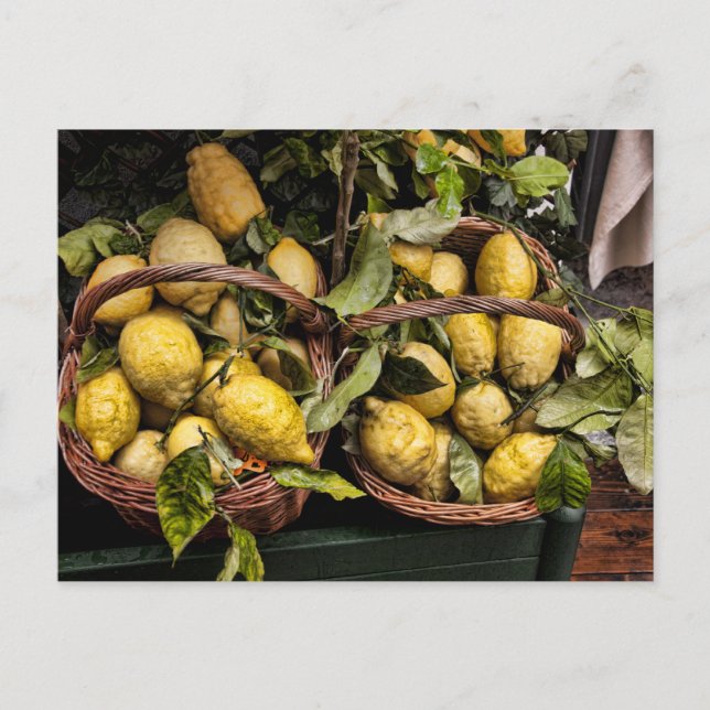 Italian Amalia Lemons in a Basket Postcard (Front)