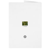 Italian cards, Borgo Valsugana (Back)