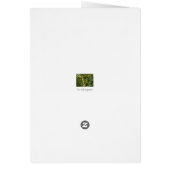 Italian cards, Castle Stenico (Back)