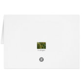 Italian cards, Trento (Back Horizontal)