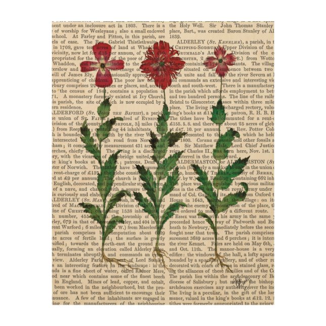 Italian Carnation 1 Wood Wall Decor (Front)