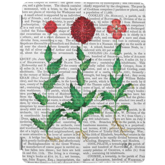 Italian Carnation 2 iPad Air Cover (Front)