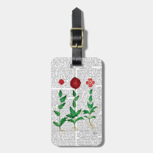 Italian Carnation 2 Luggage Tag