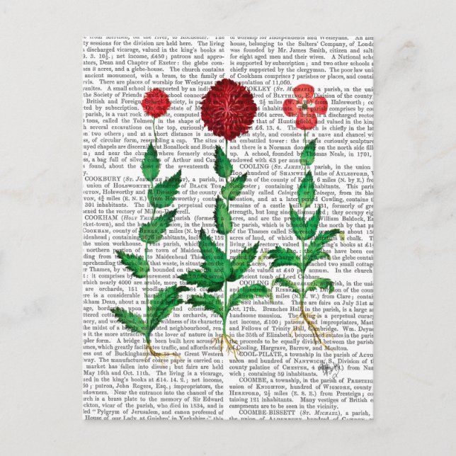 Italian Carnation 2 Postcard (Front)