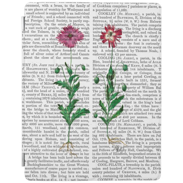 Italian Carnation 3 iPad Air Cover (Front)