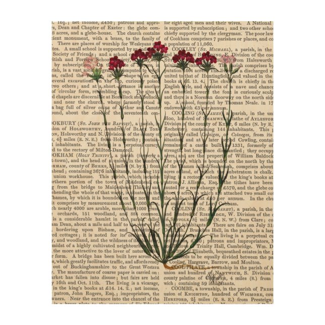 Italian Carnation 4 Wood Wall Art (Front)
