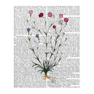 Italian Carnation 5 Acrylic Print