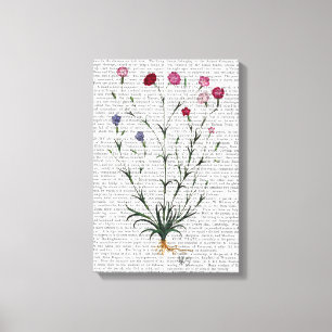 Italian Carnation 5 Canvas Print