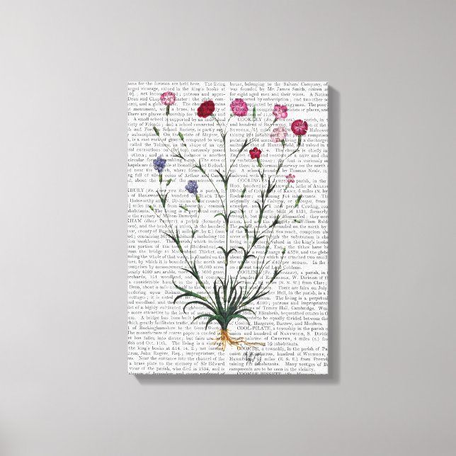 Italian Carnation 5 Canvas Print (Front)