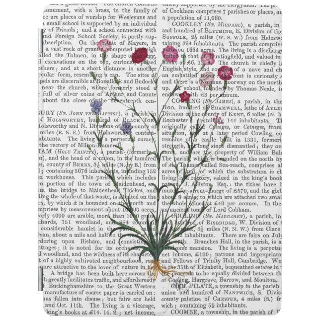 Italian Carnation 5 iPad Air Cover (Front)