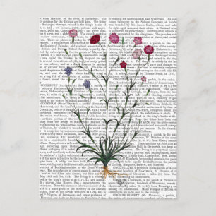 Italian Carnation 5 Postcard