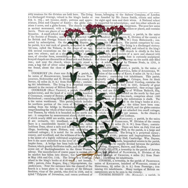 Italian Carnation 6 Acrylic Print (Front)