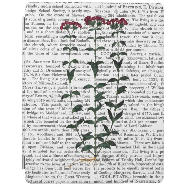 Italian Carnation 6 iPad Air Cover (Front)