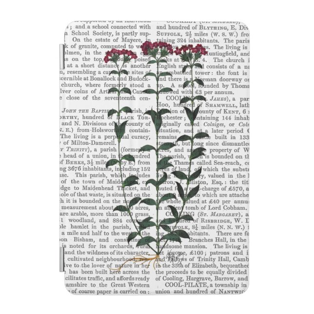 Italian Carnation 6 iPad Mini Cover (Front)