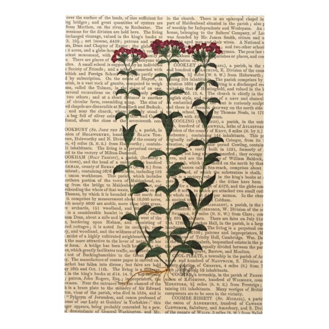 Italian Carnation Wood Wall Decor (Front)