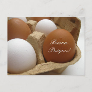 italian easter egg greeting holiday postcard