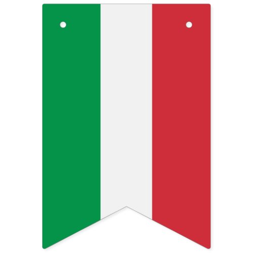 Italian Flag Party Banner with the Flag of Italy