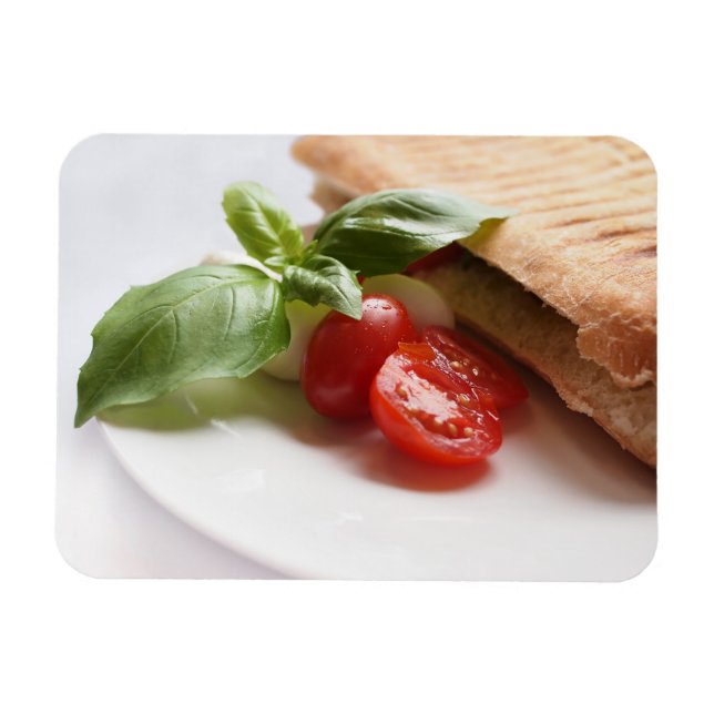 Italian food rectangular magnet (Horizontal)