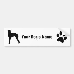 Italian Greyhound イタリアン・グレーハウンド Bumper Sticker