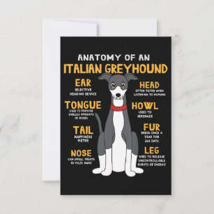 Italian Greyhound Anatomy Funny Dog Mom Dad Gift RSVP Card