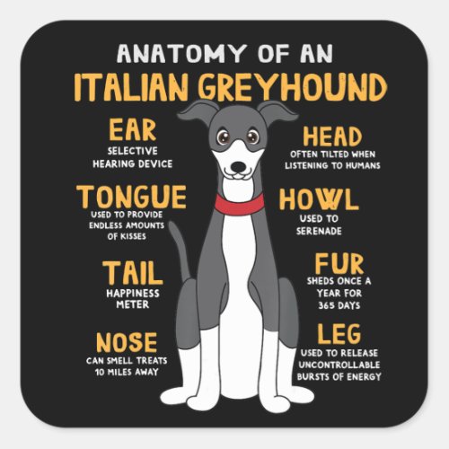 Italian Greyhound Anatomy Funny Dog Mom Dad Gift Square Sticker
