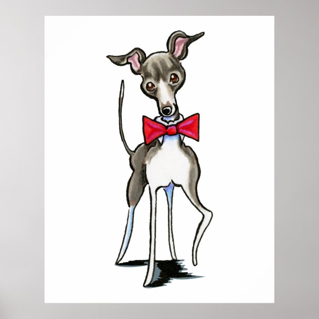 Italian Greyhound Antonio Poster (Front)
