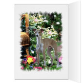Italian Greyhound Art Gifts (Inside (Left))