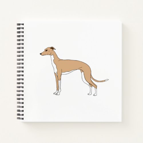 Italian Greyhound _ Blue fawn Notebook