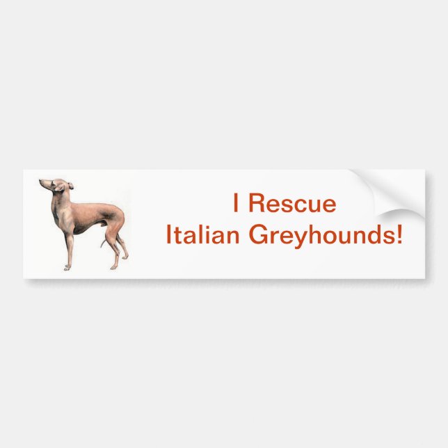 Italian Greyhound Bumper Sticker (Front)