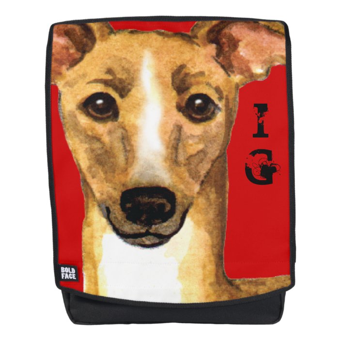Italian Greyhound Color Block Backpack