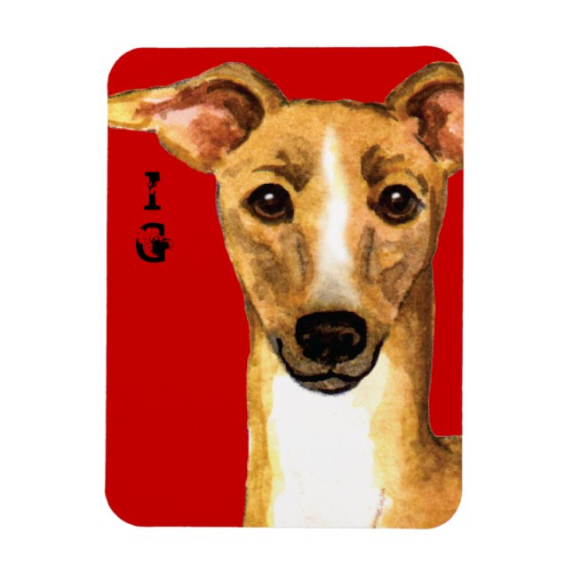 Italian Greyhound Color Block Magnet (Vertical)