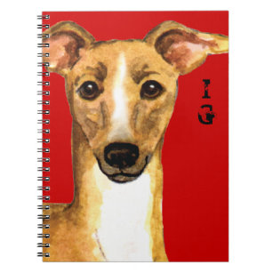 Italian Greyhound Color Block Notebook
