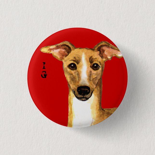 Italian Greyhound Color Block Pinback Button (Front)