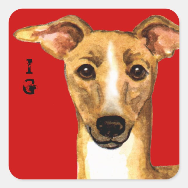 Italian Greyhound Color Block Square Sticker (Front)