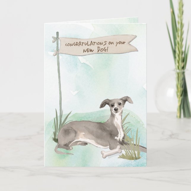 Italian Greyhound Congratulations on New Dog Card (Front)