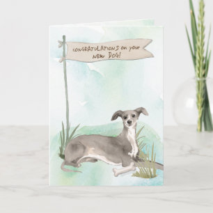 Italian Greyhound Congratulations on New Dog Card