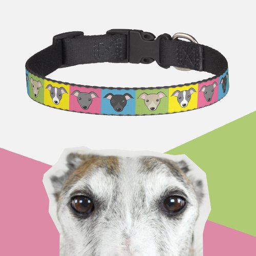 Italian Greyhound Cute cartoon Fun Pop art Pattern Pet Collar