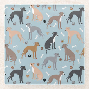 Italian Greyhound Dog Bones and Paws Glass Coaster