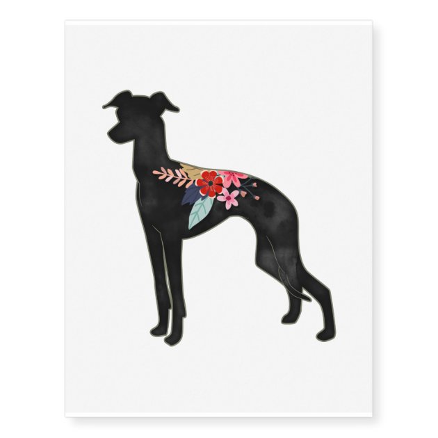 160 Italian Greyhound Illustrations RoyaltyFree Vector Graphics  Clip  Art  iStock  Italian greyhound with person
