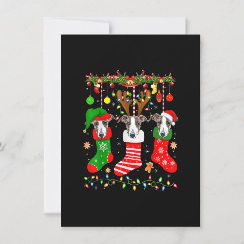 Italian Greyhound Dog In Christmas Socks Lights Xm Invitation