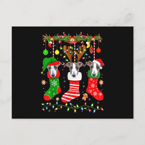 Italian Greyhound Dog In Christmas Socks Lights Xm Postcard