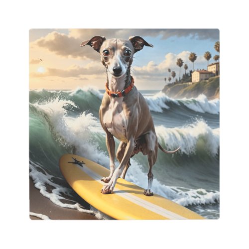 Italian Greyhound Dog on Surfboard Metal Print